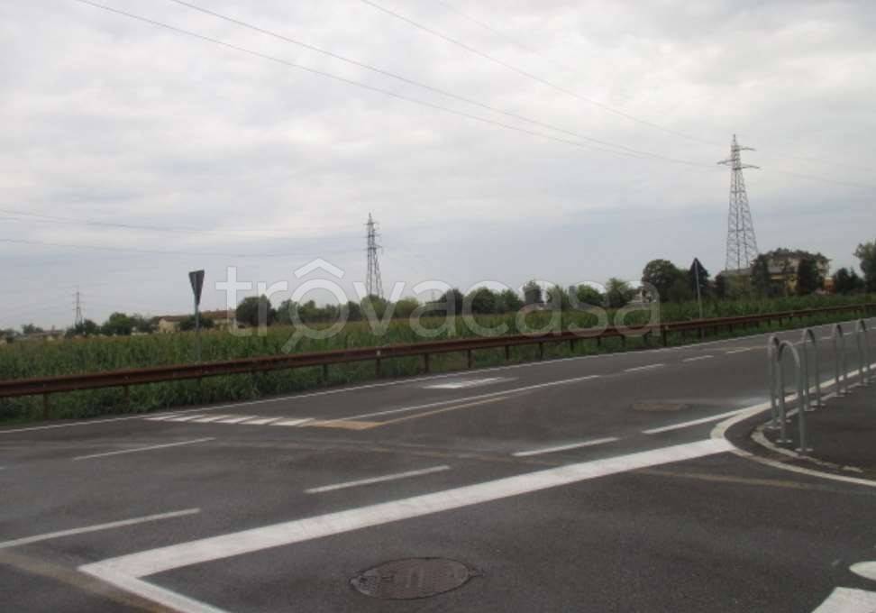 immagine annuncio 7 di 14