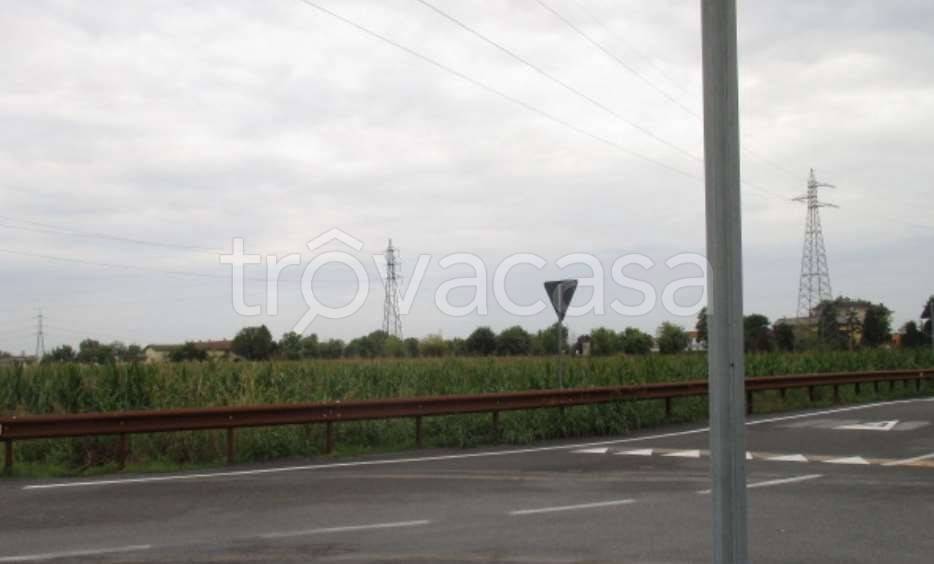 immagine annuncio 9 di 14