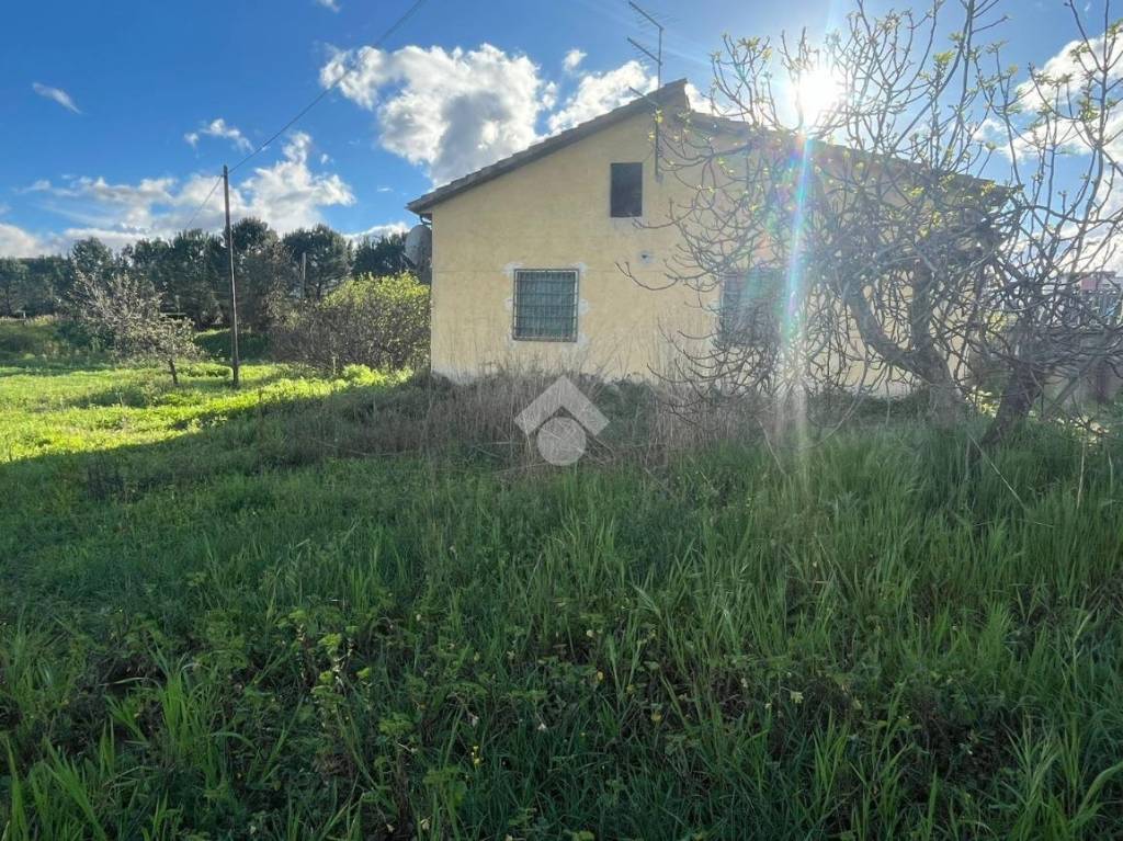 immagine annuncio 8 di 12