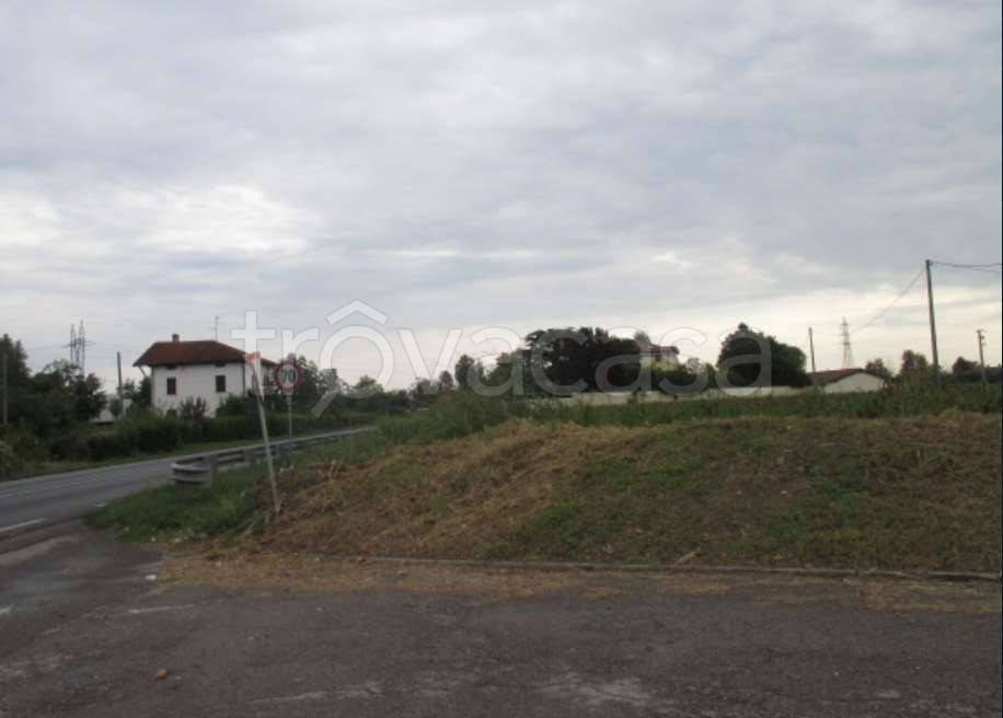immagine annuncio 5 di 11