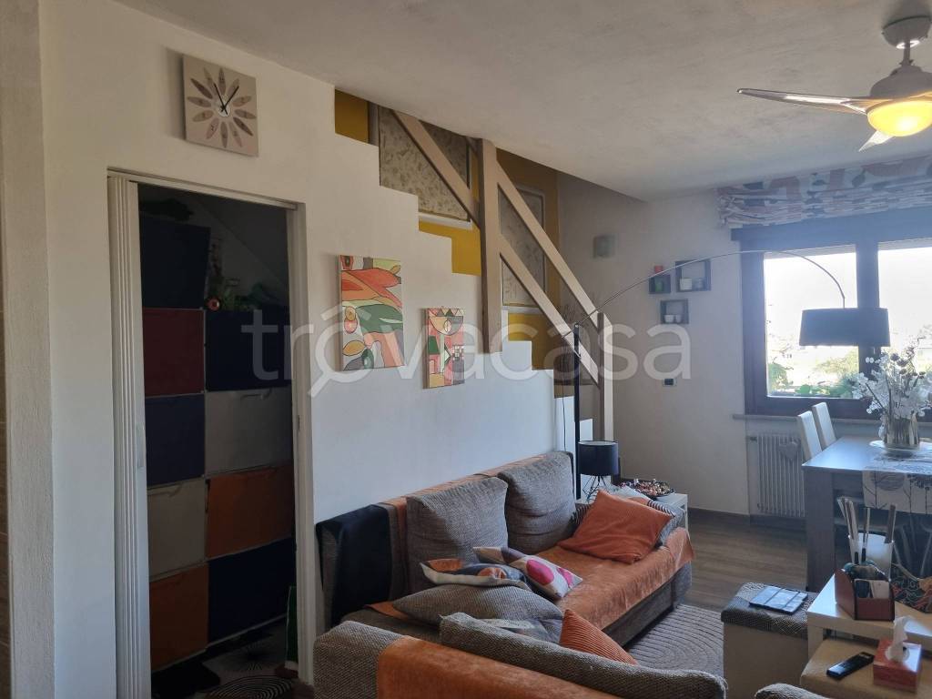immagine annuncio 8 di 15