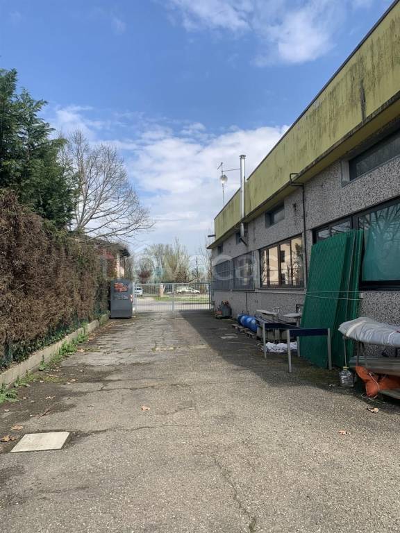 immagine annuncio 7 di 13