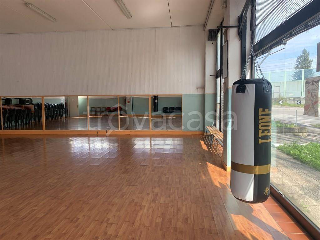 immagine annuncio 2 di 13