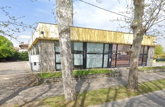 immagine annuncio 6 di 13