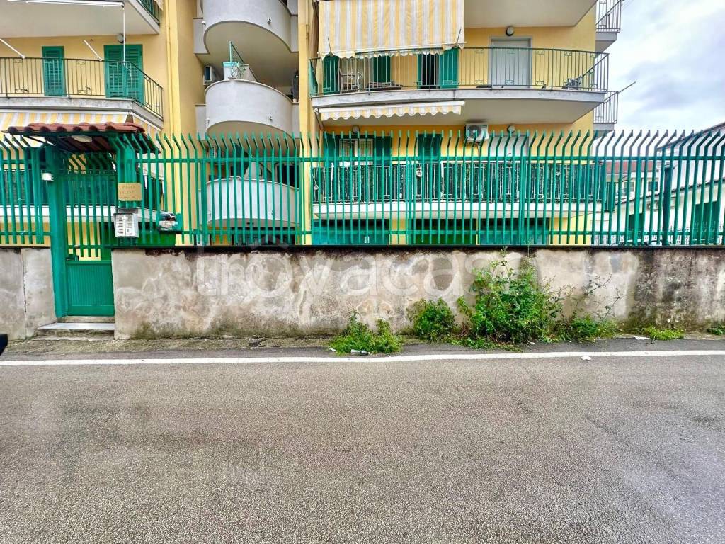 immagine annuncio 1 di 8