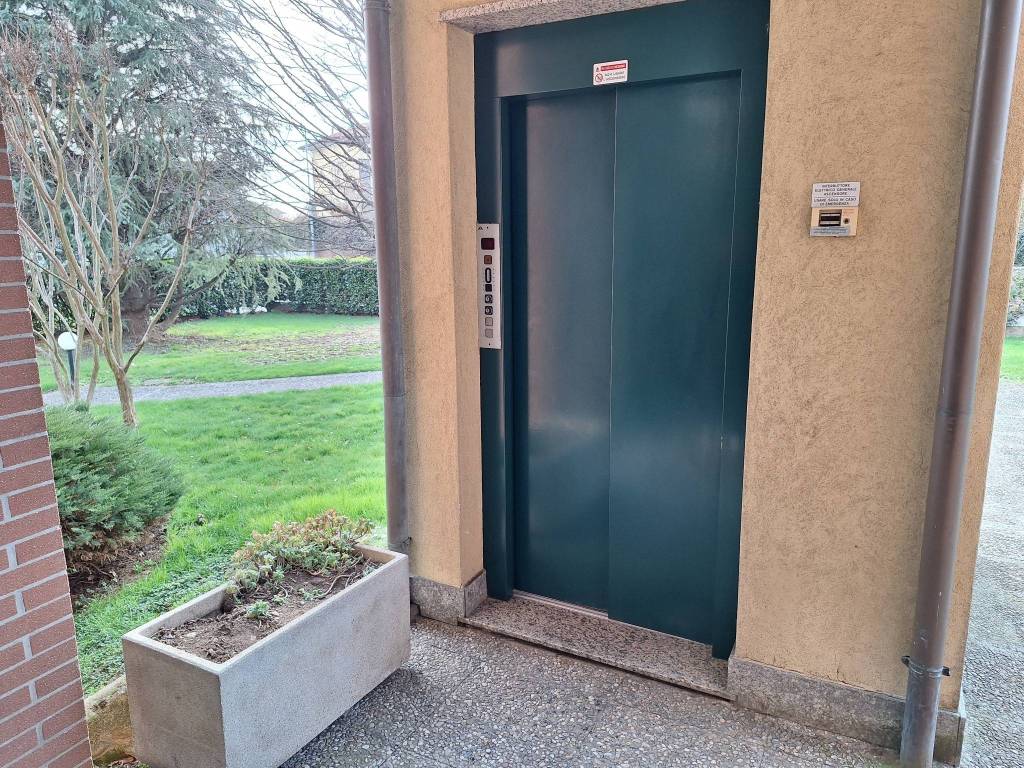immagine annuncio 10 di 15