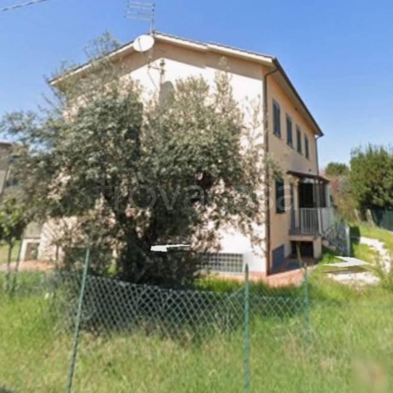 immagine annuncio 2 di 14