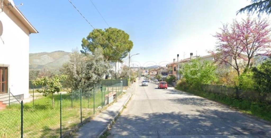 immagine annuncio 9 di 14