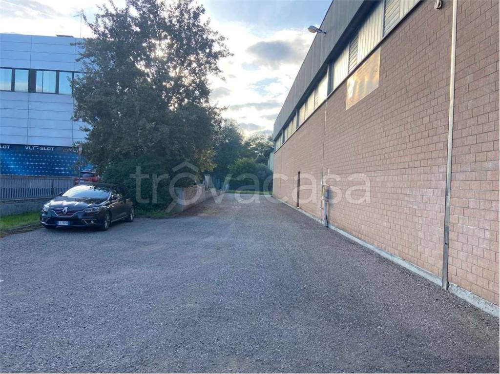immagine annuncio 2 di 10
