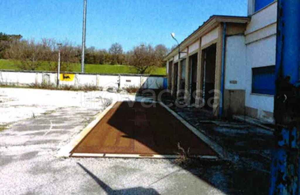 immagine annuncio 3 di 12
