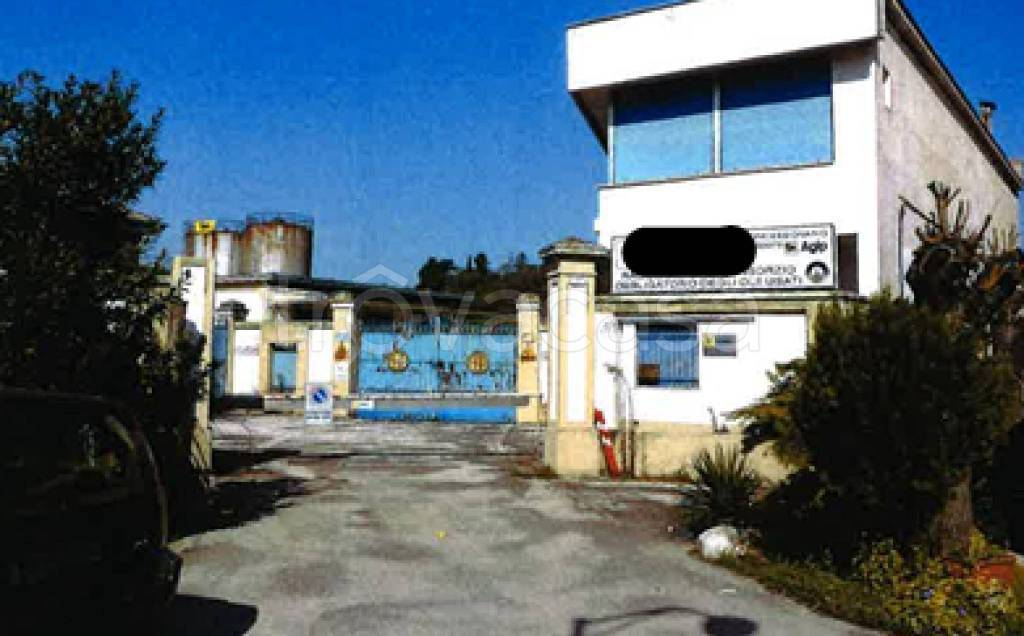 immagine annuncio 8 di 12
