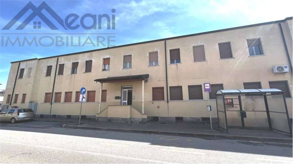 immagine annuncio 12 di 14