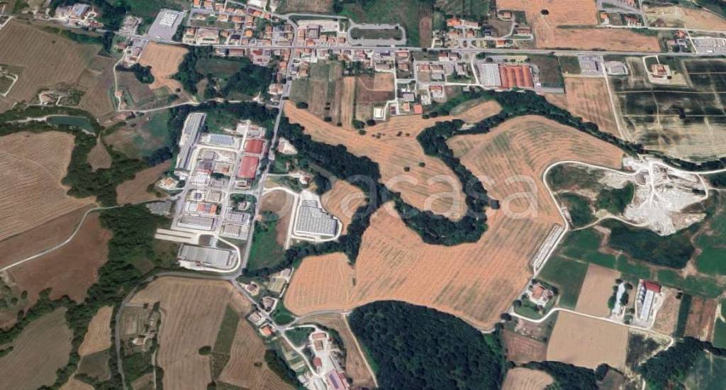 immagine annuncio 5 di 12