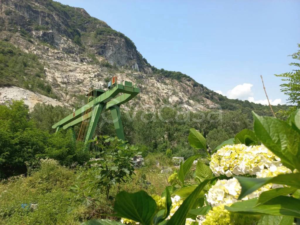 immagine annuncio 13 di 14