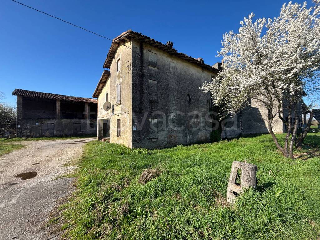 immagine annuncio 2 di 12
