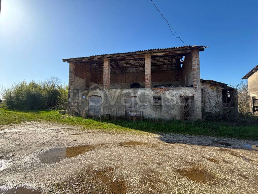 immagine annuncio 5 di 12