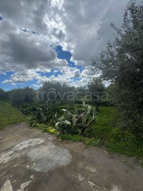 immagine annuncio 7 di 14