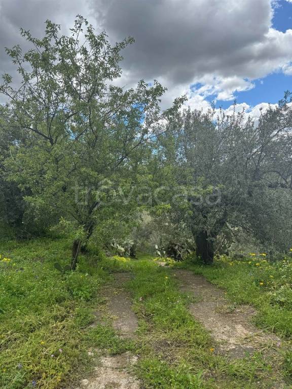 immagine annuncio 11 di 14