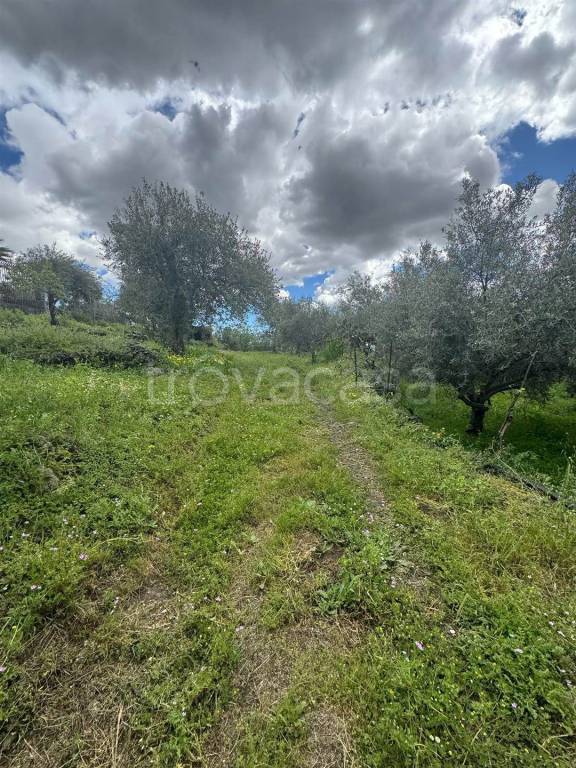 immagine annuncio 12 di 14