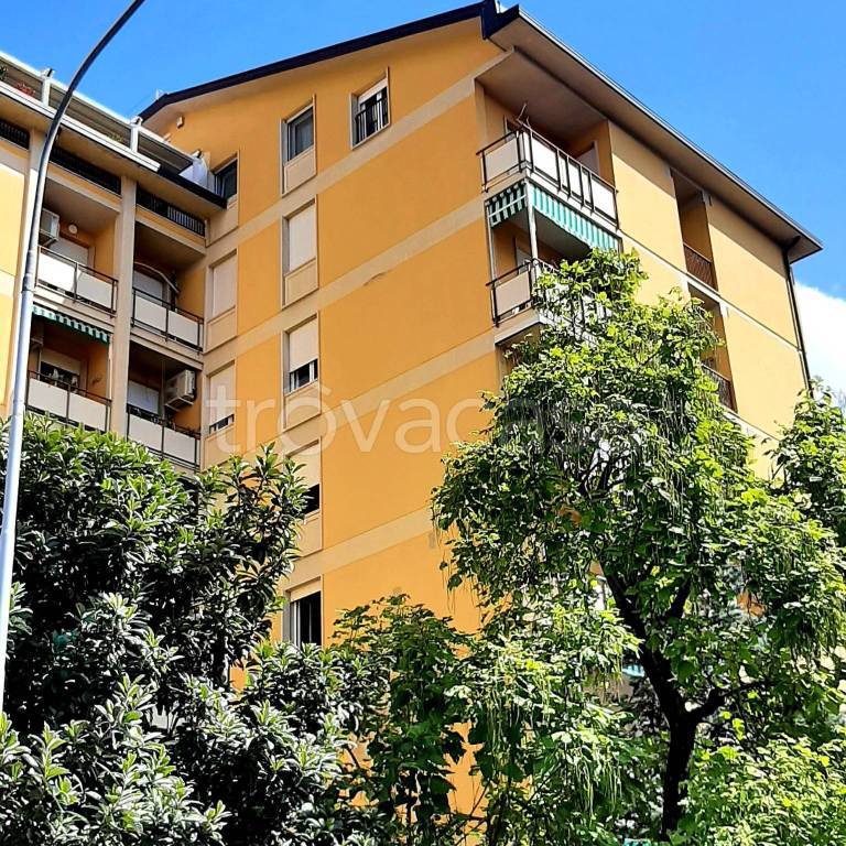 immagine annuncio 3 di 4