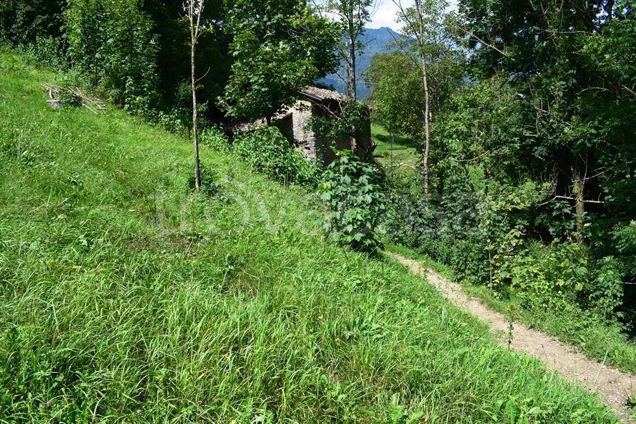 immagine annuncio 5 di 8