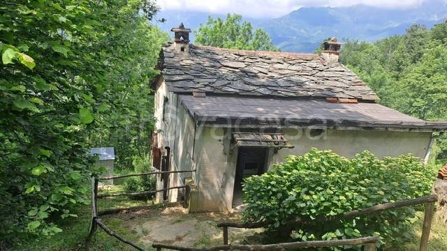 immagine annuncio 10 di 14