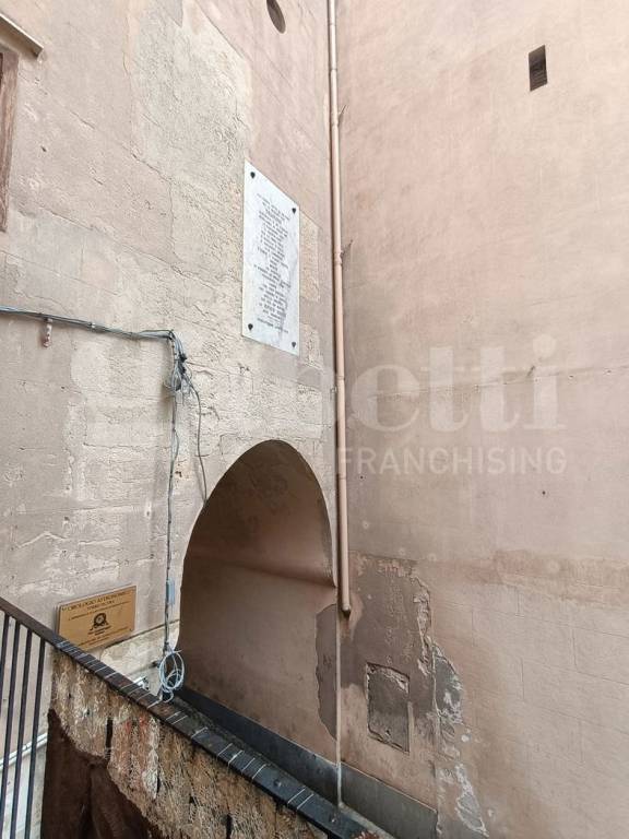 immagine annuncio 11 di 14