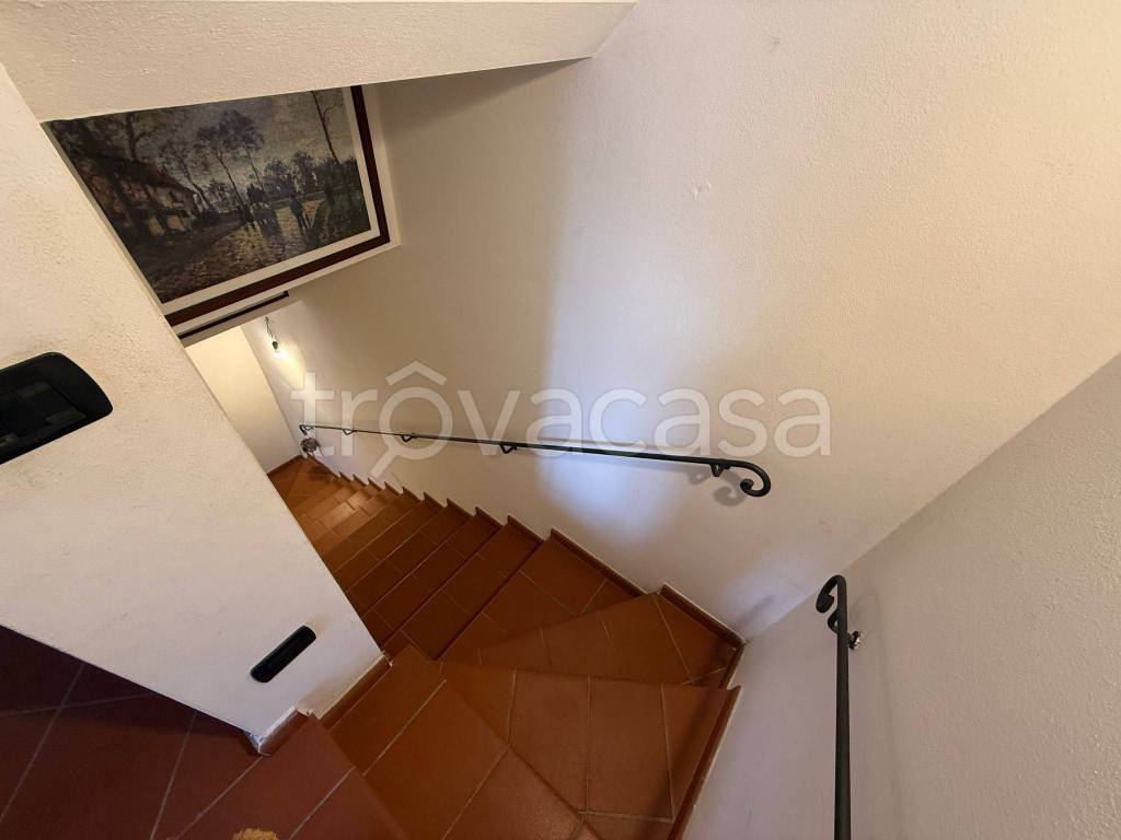 immagine annuncio 10 di 14