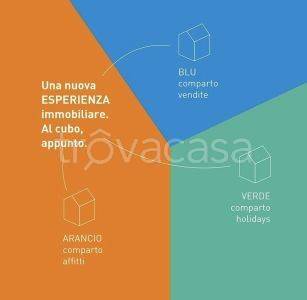 immagine annuncio 5 di 12