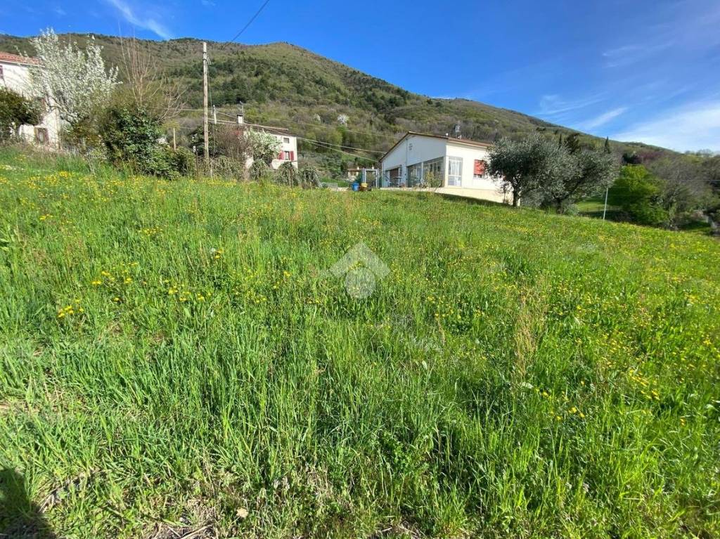 immagine annuncio 4 di 6