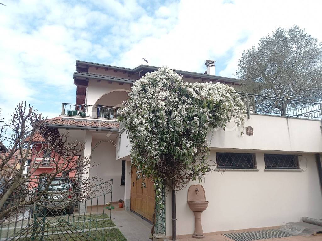 immagine annuncio 5 di 15