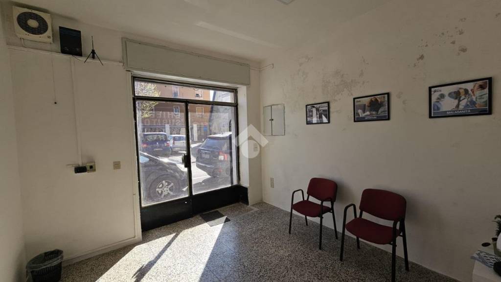 immagine annuncio 11 di 14