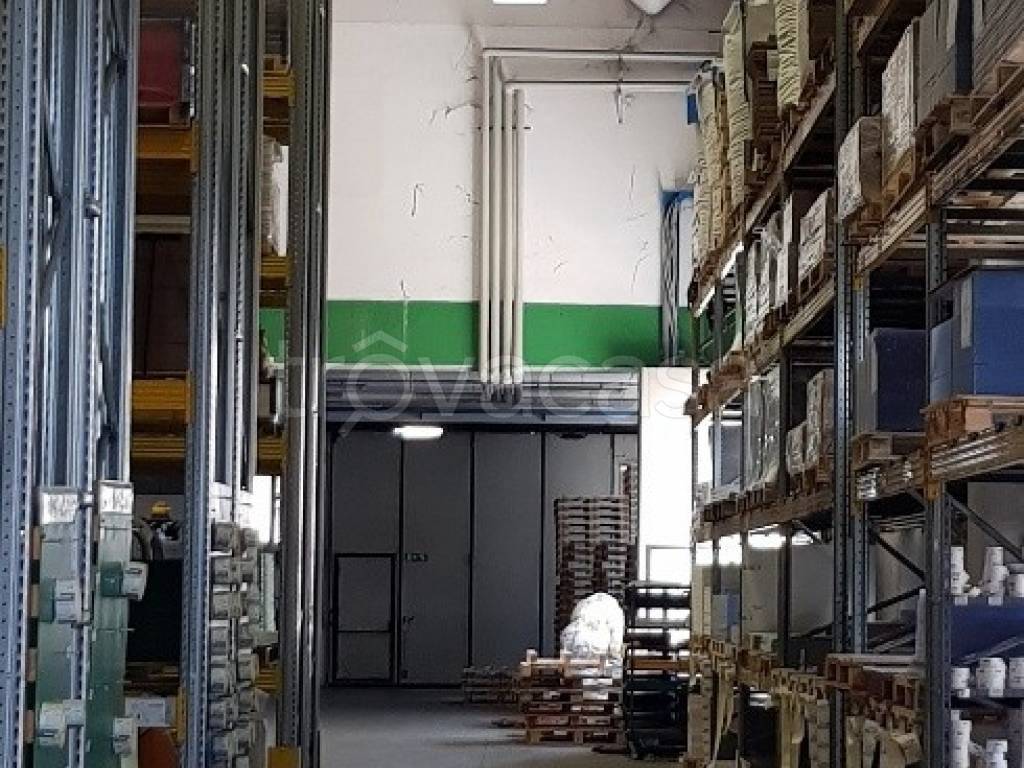 immagine annuncio 12 di 15