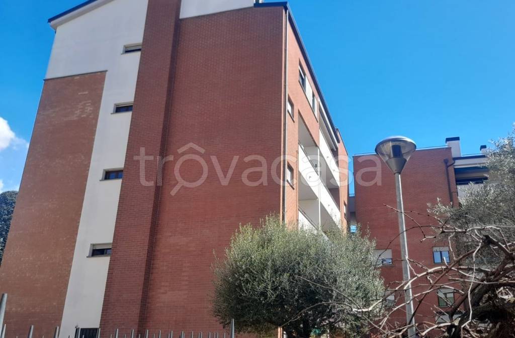 immagine annuncio 9 di 11