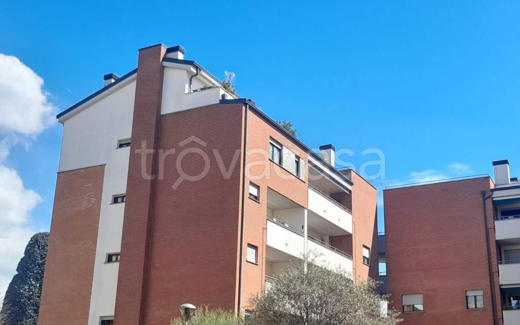 immagine annuncio 2 di 11