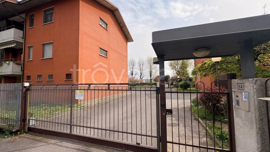 immagine annuncio 1 di 15