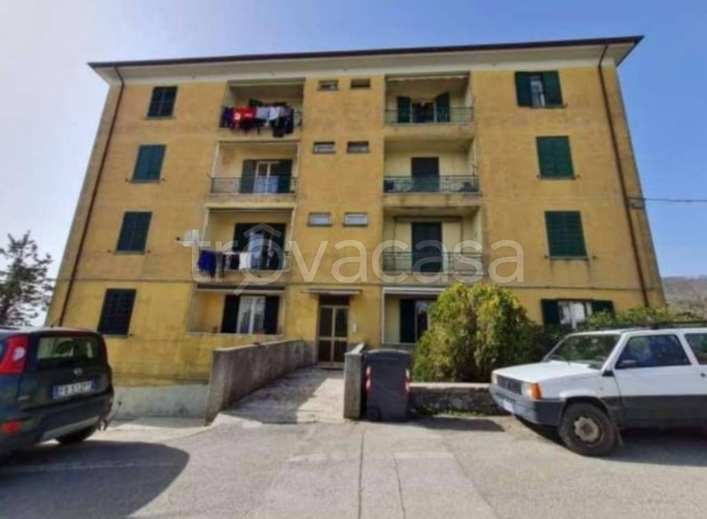 immagine annuncio 11 di 14