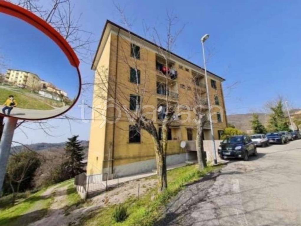 immagine annuncio 12 di 14