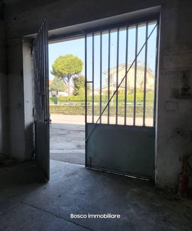 immagine annuncio 11 di 13
