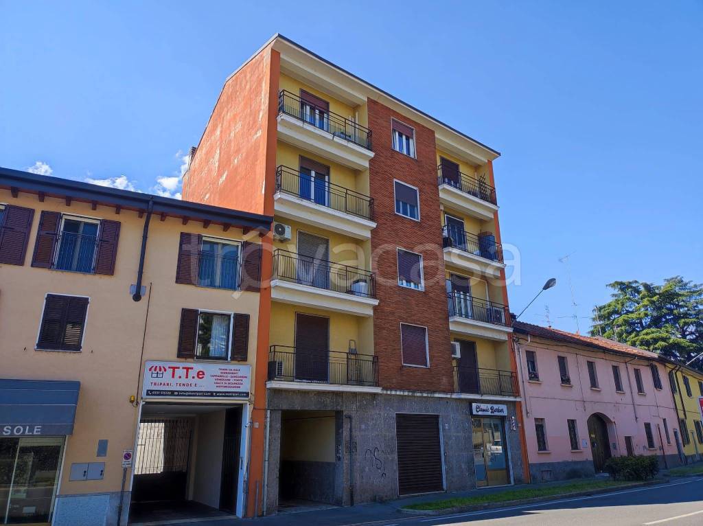 immagine annuncio 1 di 15