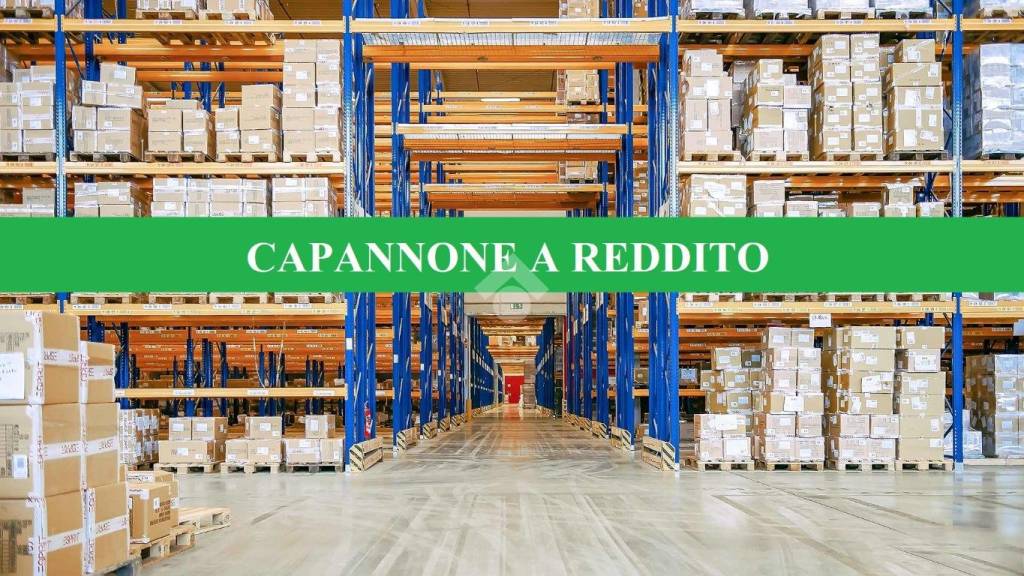 immagine annuncio 10 di 11