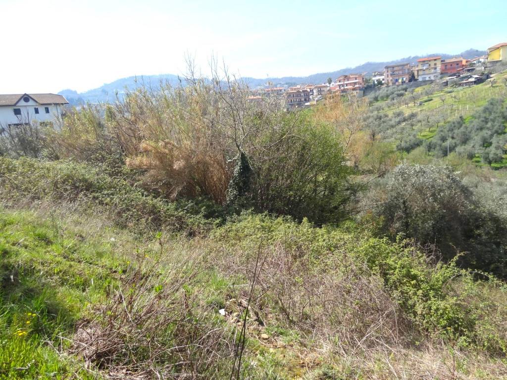 immagine annuncio 2 di 8