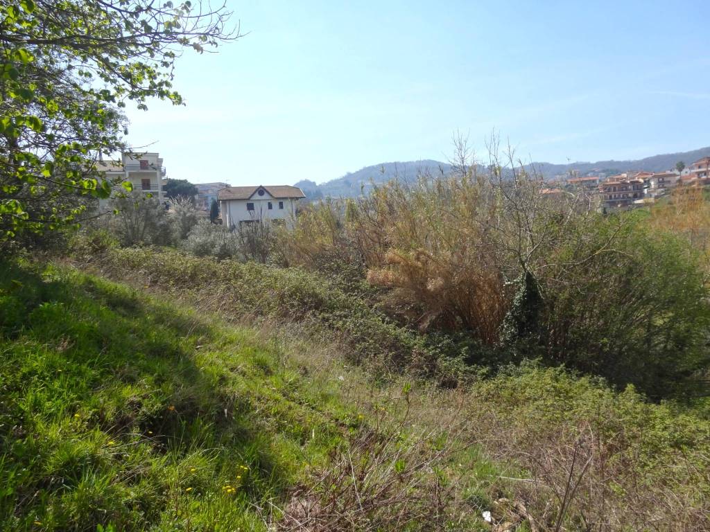 immagine annuncio 3 di 8