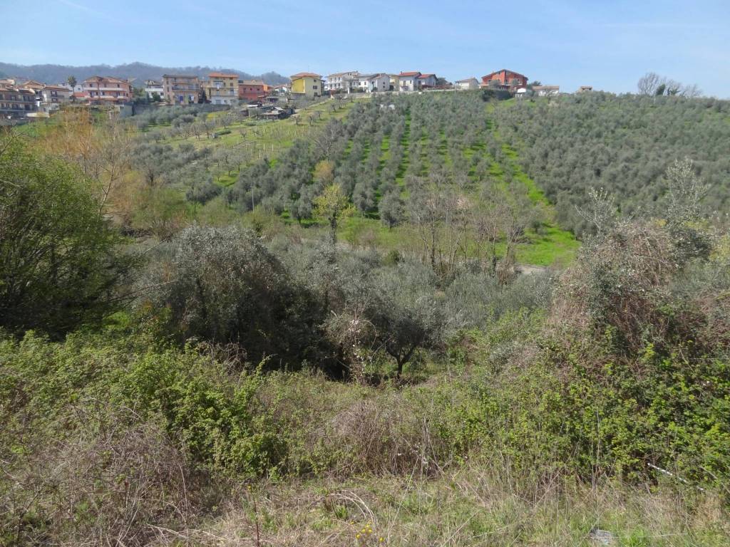 immagine annuncio 4 di 8