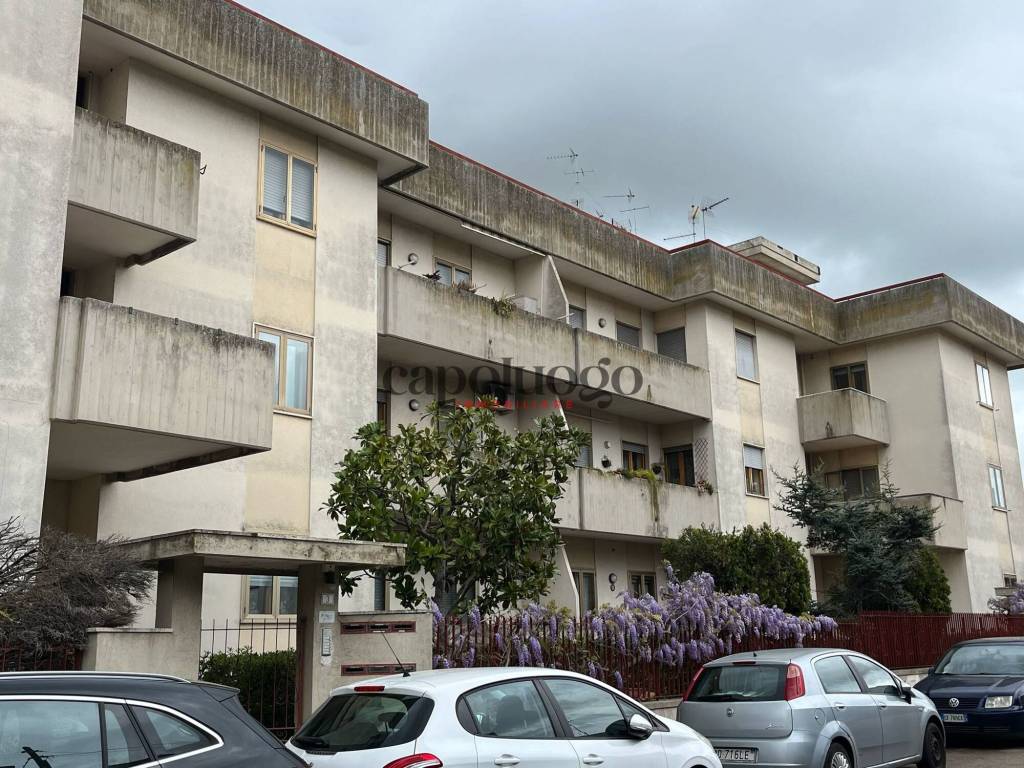 immagine annuncio 1 di 12