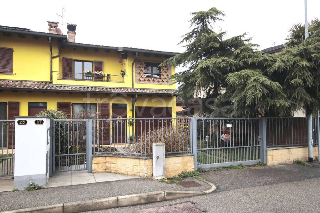 immagine annuncio 3 di 15
