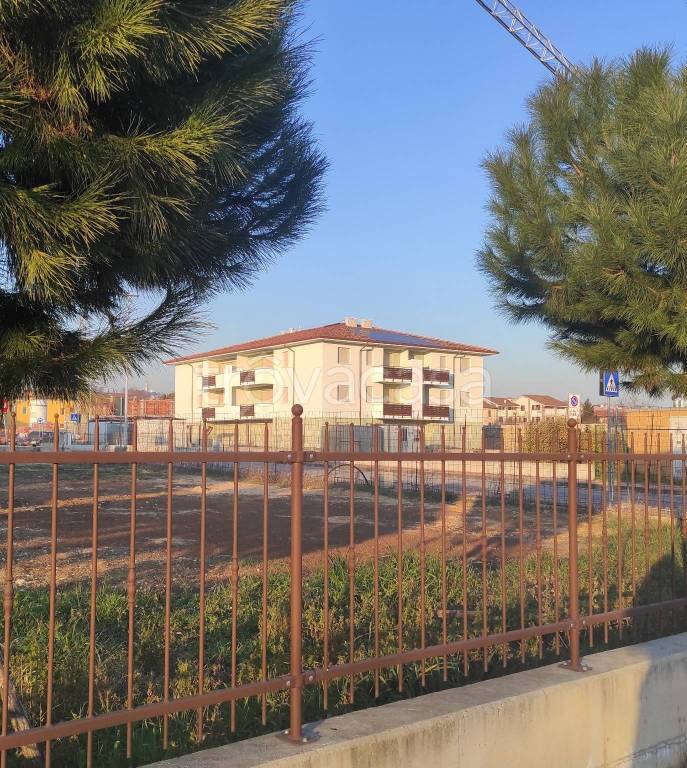 immagine annuncio 1 di 11