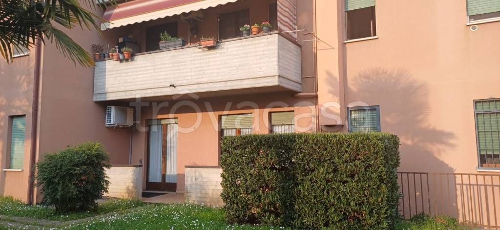 immagine annuncio 3 di 14
