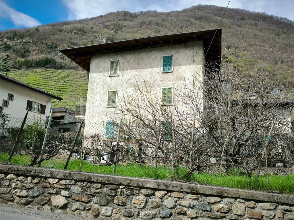 immagine annuncio 1 di 4