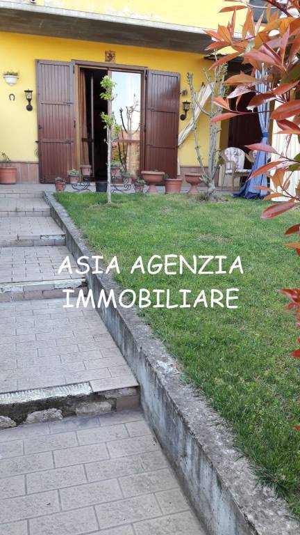 immagine annuncio 3 di 6